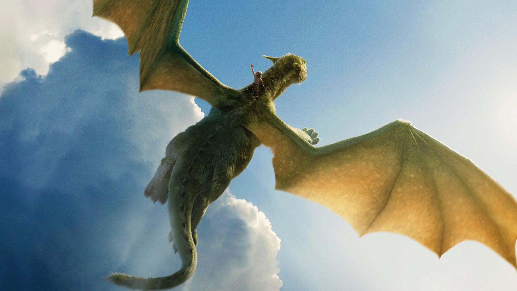 petes-dragon-image
