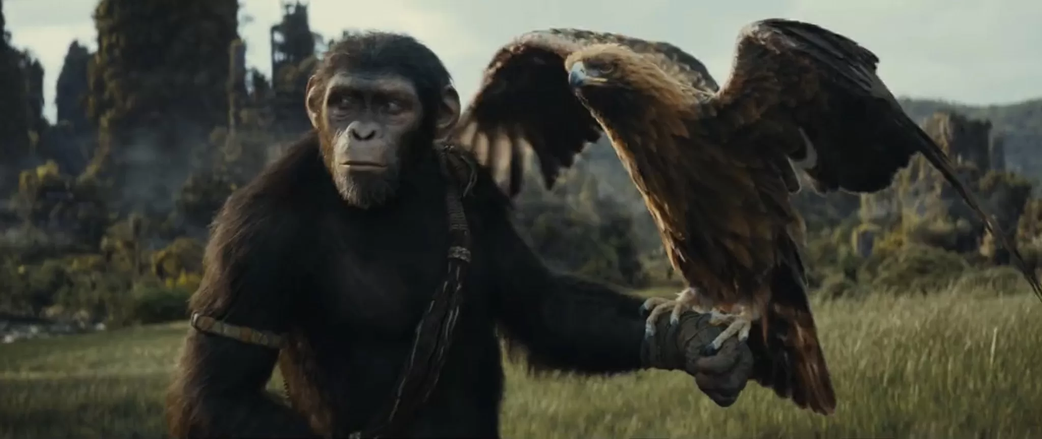 فیلم kingdom of the planet of the apes 2023