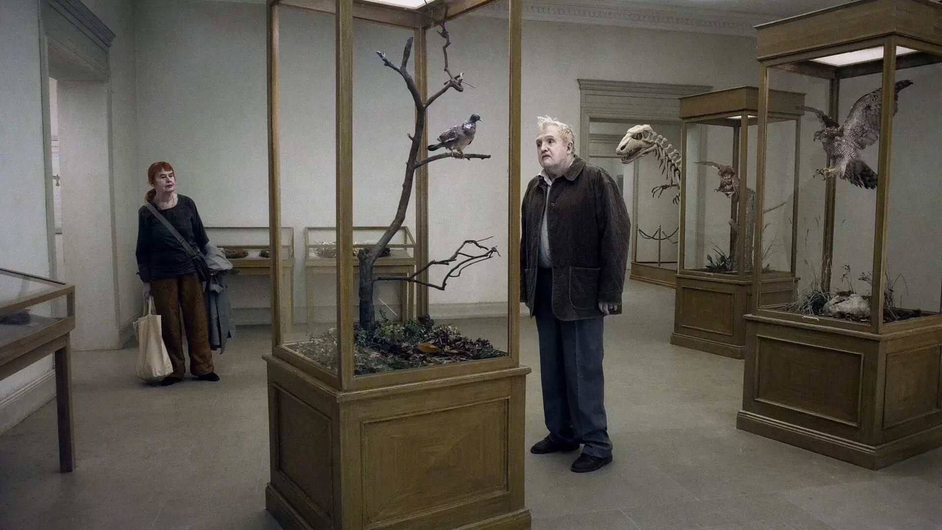دانلود فیلم A Pigeon Sat on a Branch Reflecting on Existence 2014 ("کبوتری برای تأمل در باب هستی روی شاخه نشست) با زیرنویس فارسی و تماشای آنلاین