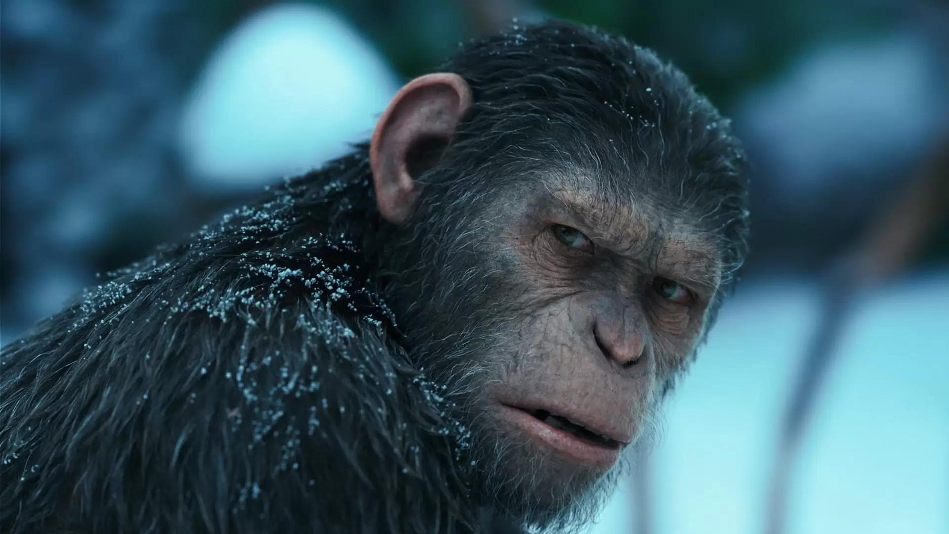 دانلود فیلم War for the Planet of the Apes 2017 (جنگ برای سیاره میمون‌ها) با زیرنویس فارسی و تماشای آنلاین