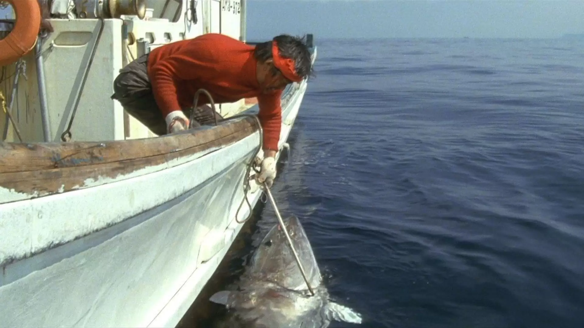 دانلود فیلم The Catch 1983