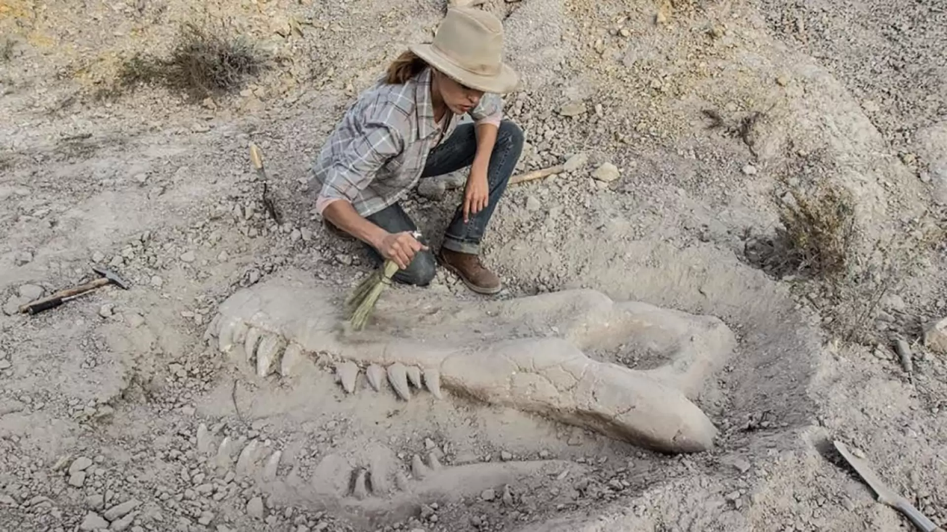 دانلود فیلم Valley of Bones 2017 (دره استخوان ها) با زیرنویس فارسی