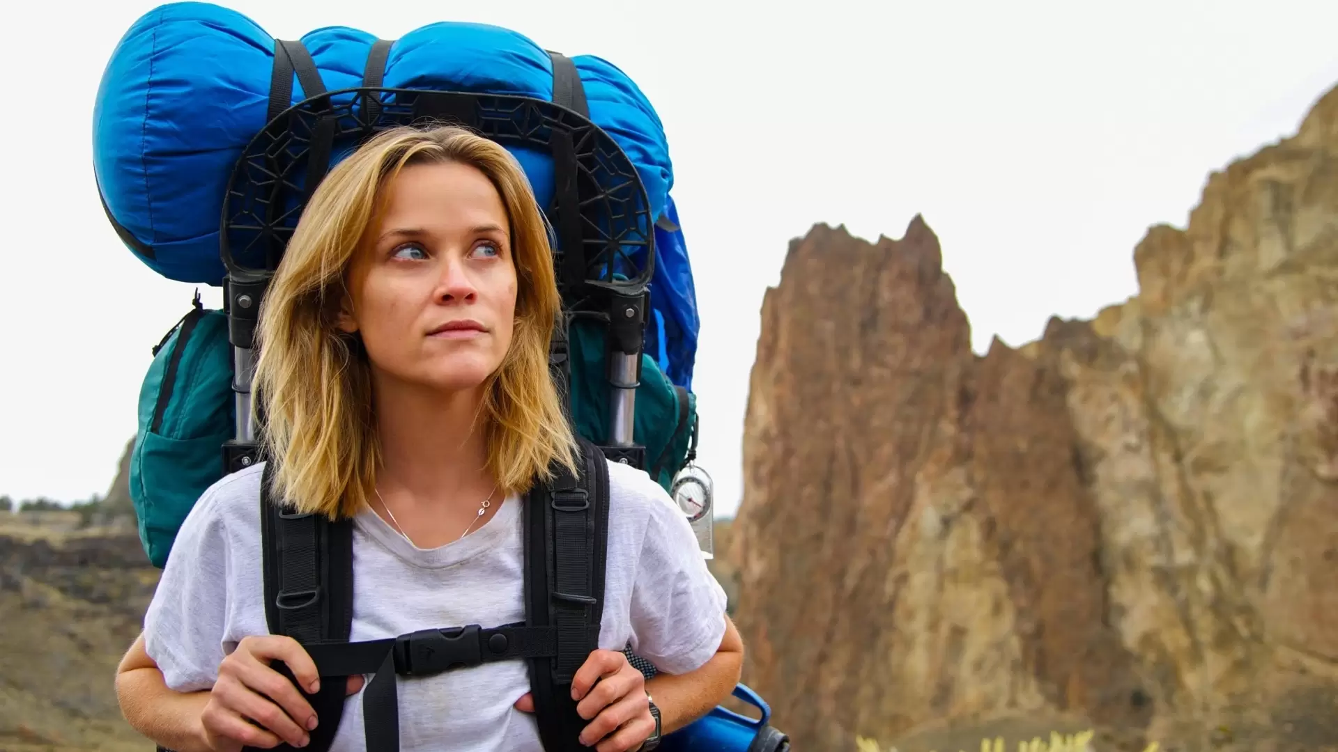 دانلود فیلم Wild 2014 (وحشی) با زیرنویس فارسی و تماشای آنلاین