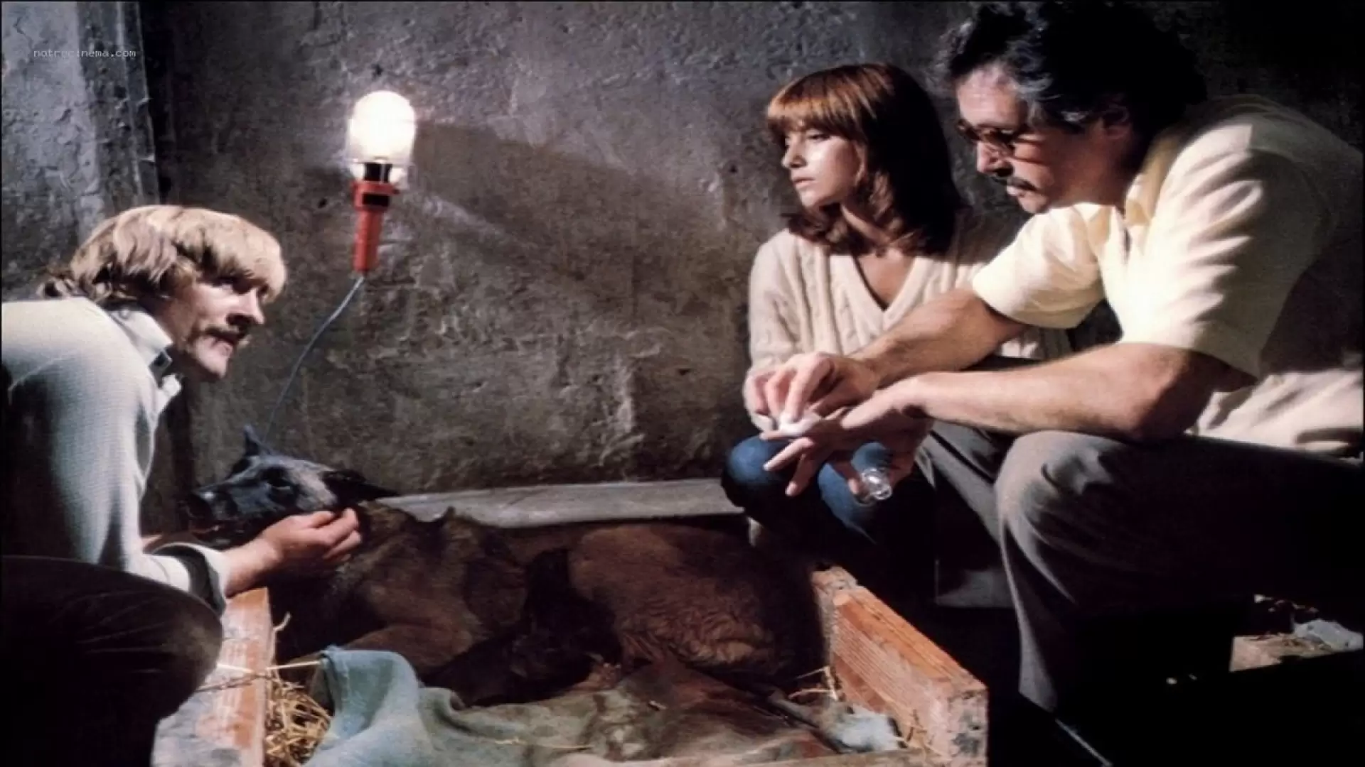دانلود فیلم The Dogs 1979