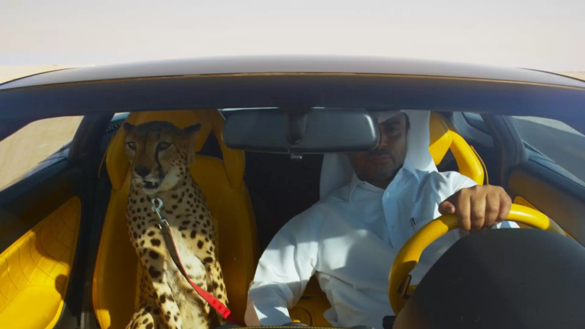 دانلود مستند The Challenge 2016