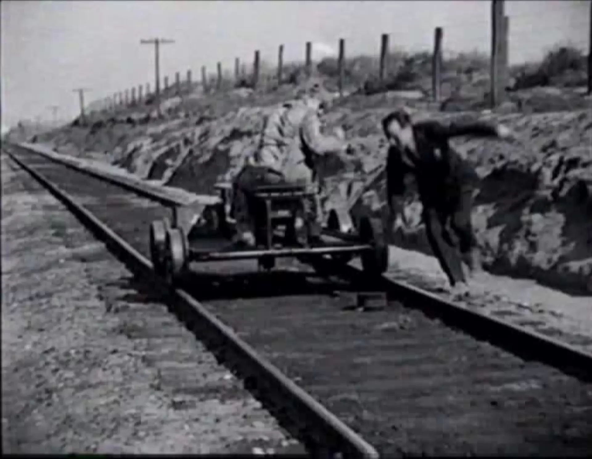 دانلود فیلم The Matrimaniac 1916