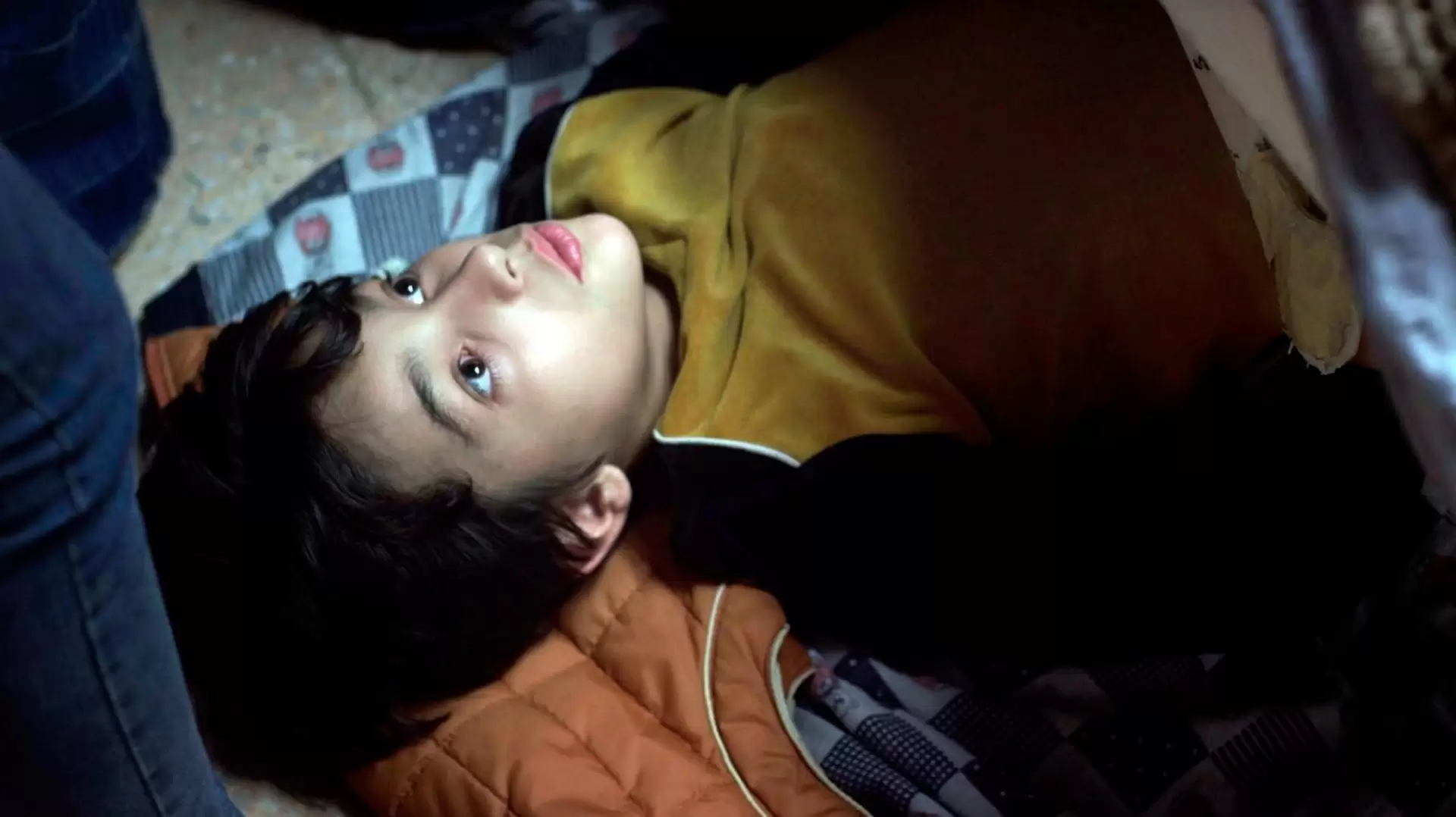 دانلود فیلم The Amazing Catfish 2013 (گربه ماهی شگفت انگیز) با زیرنویس فارسی