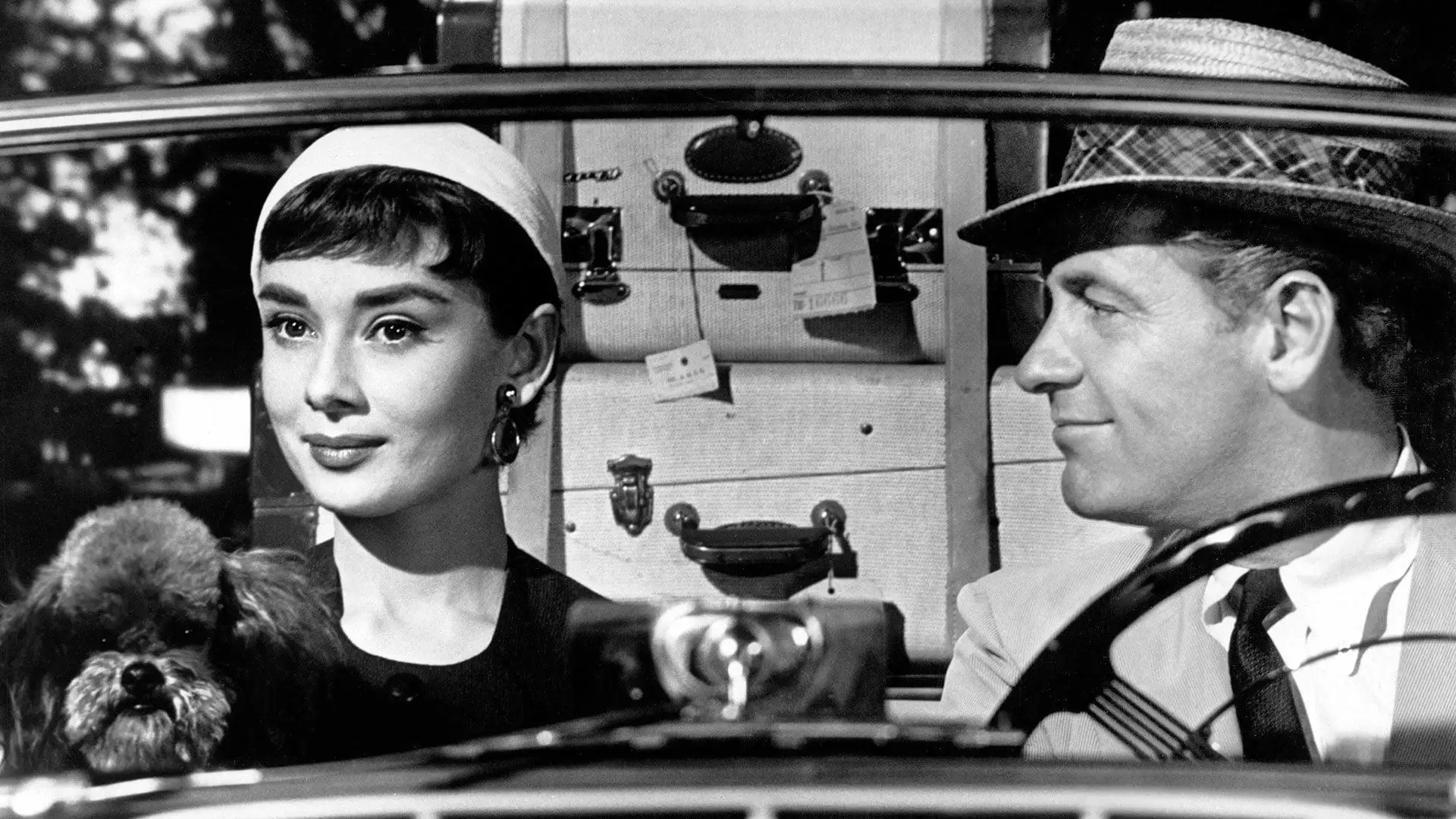 دانلود فیلم Sabrina 1954 با زیرنویس فارسی و تماشای آنلاین
