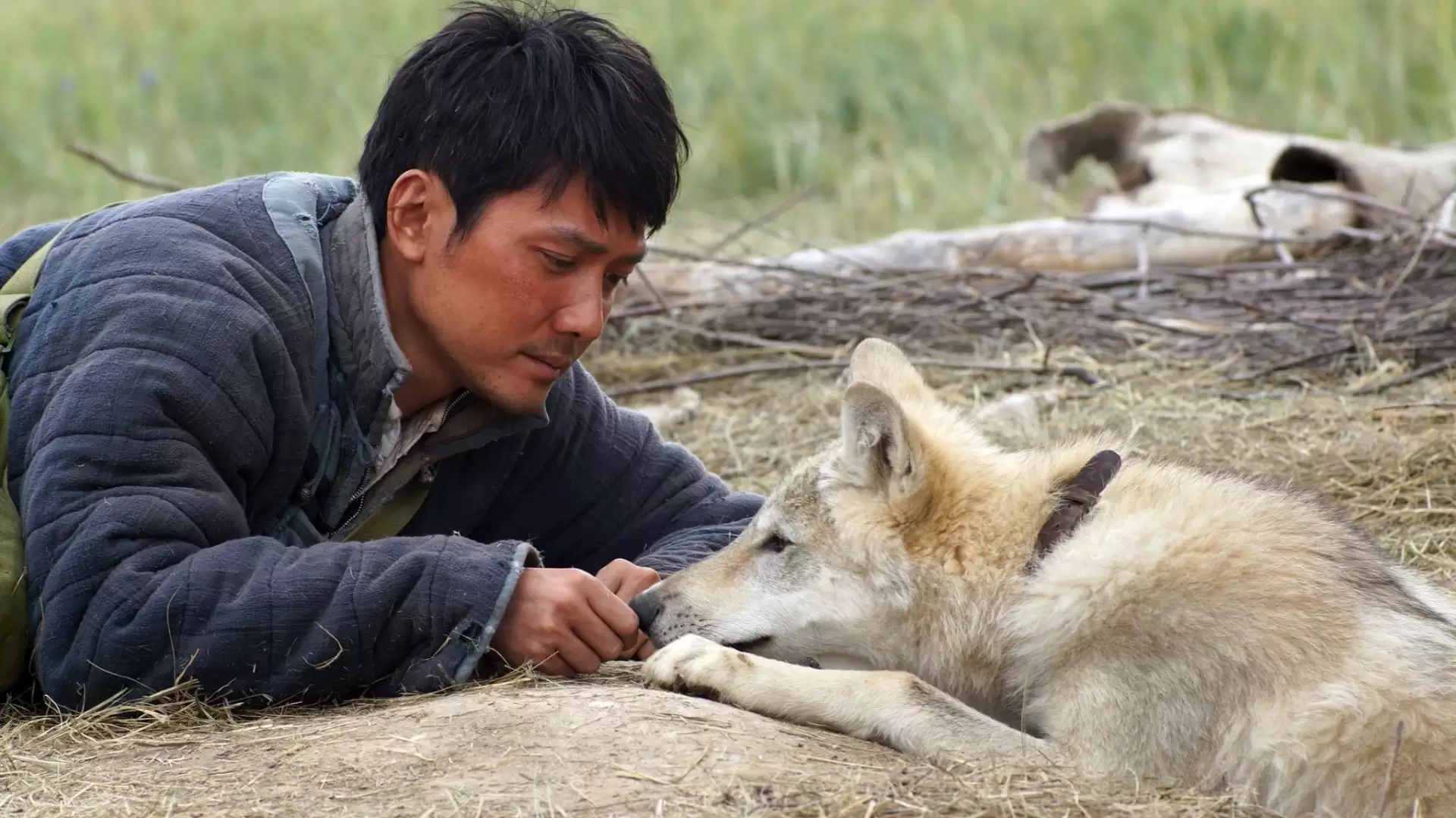 دانلود فیلم Wolf Totem 2015 با زیرنویس فارسی