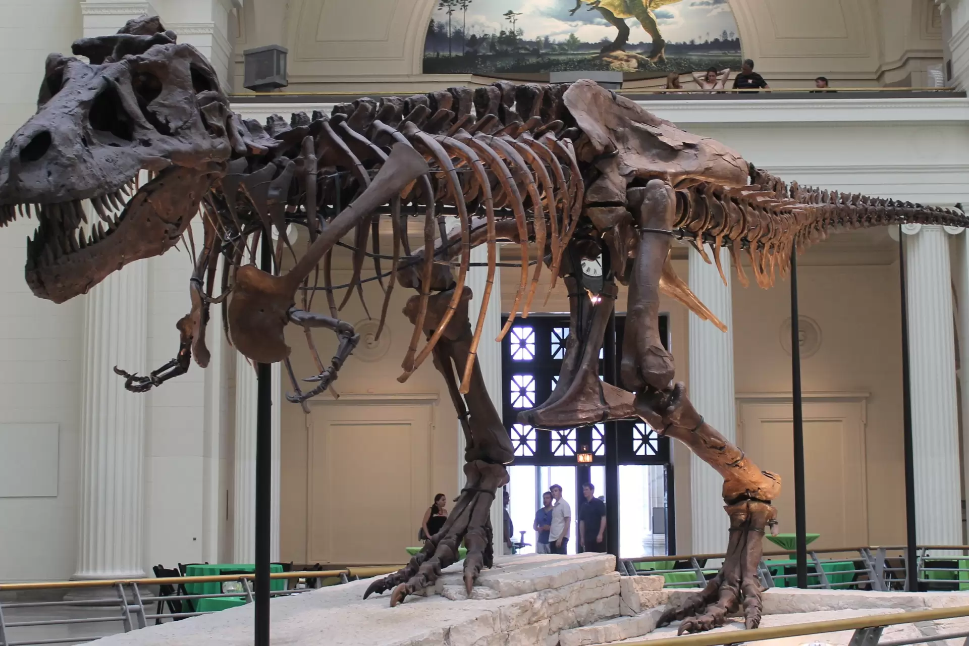 دانلود مستند Dinosaur 13 2014 (دایناسور سیزدهم) با زیرنویس فارسی