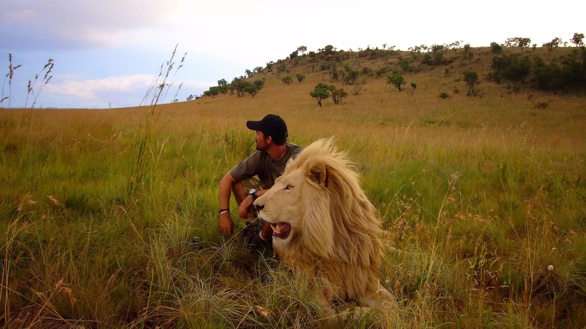 دانلود مستند African Safari 2013