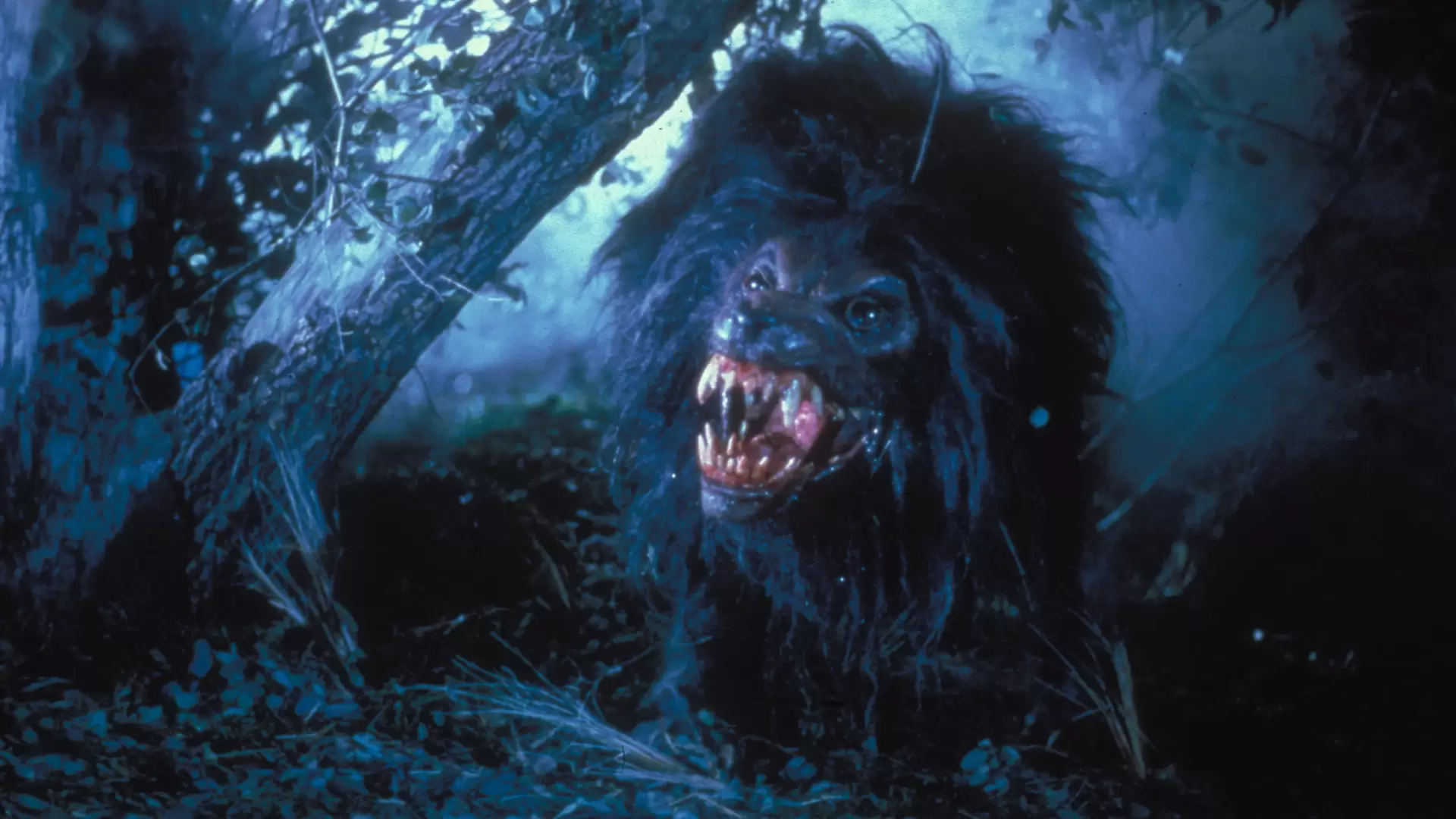 دانلود فیلم Howling IV: The Original Nightmare 1988
