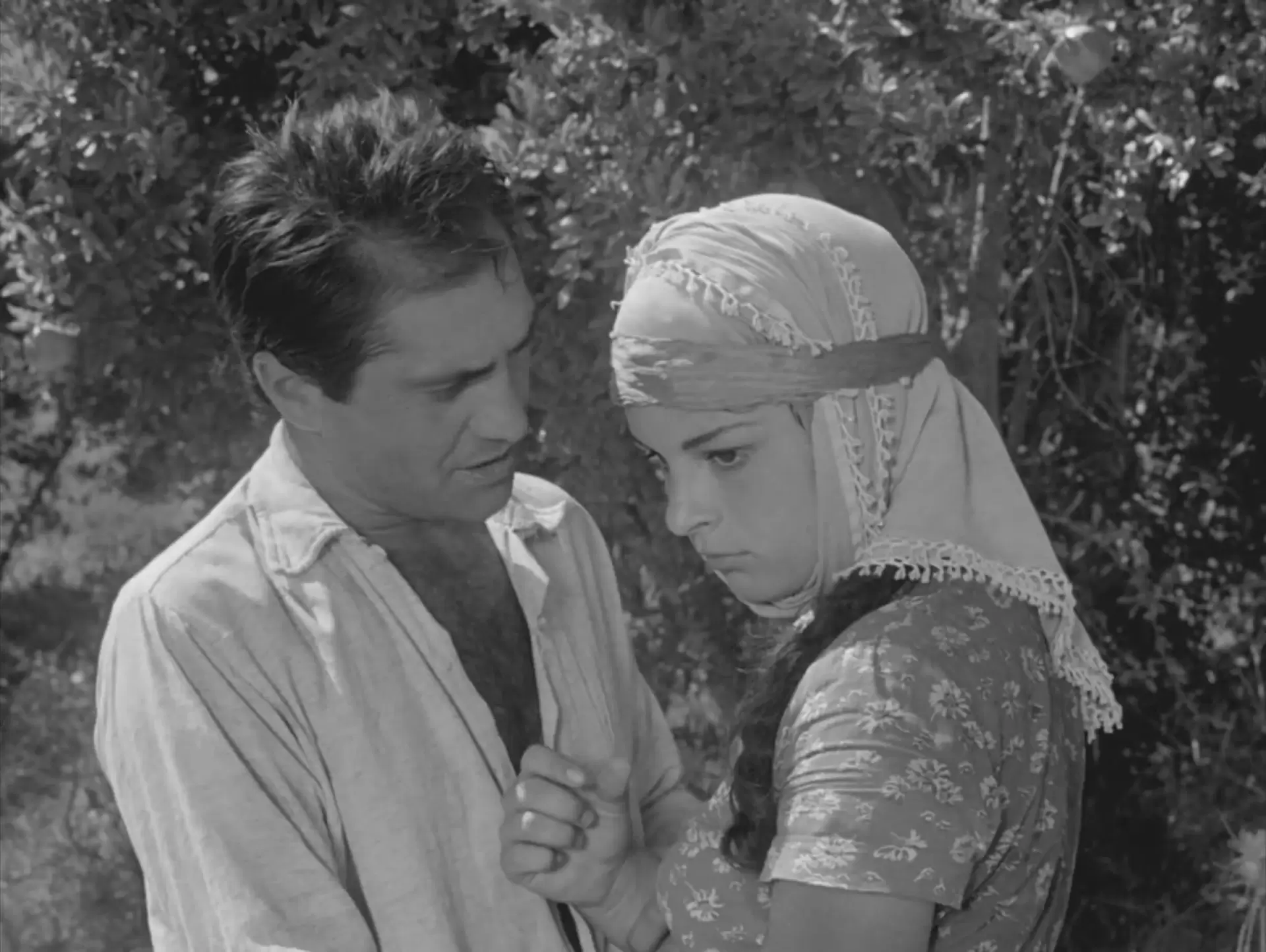 دانلود فیلم Dry Summer 1963 (تابستان خشک) با زیرنویس فارسی