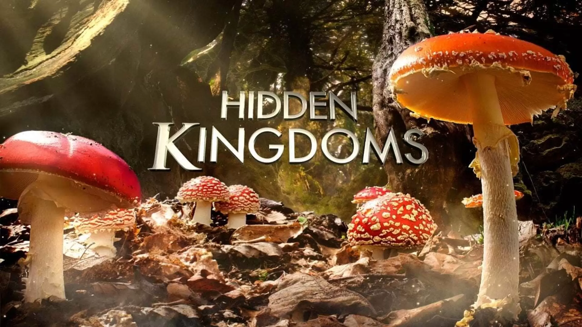 دانلود مستند Hidden Kingdoms 2014 (قلمرو پنهان) با زیرنویس فارسی