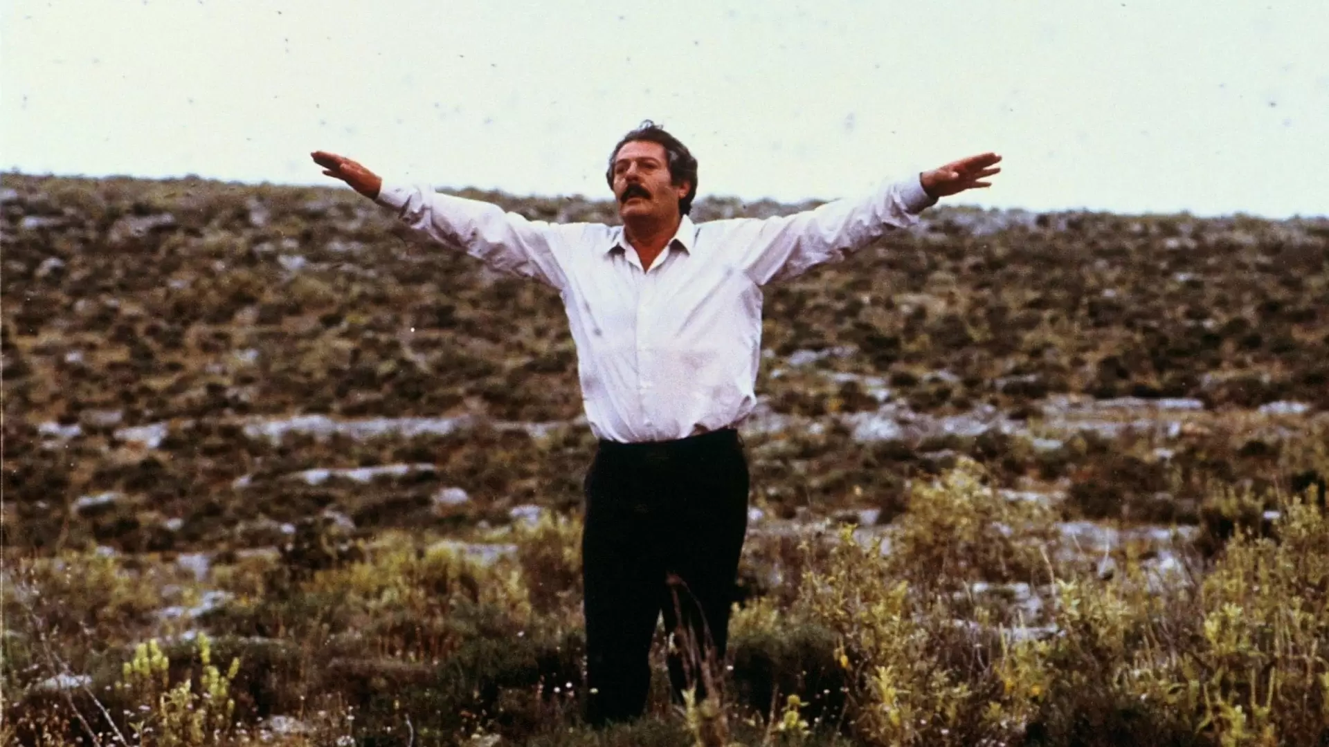 دانلود فیلم The Beekeeper 1986 (زنبور دار) با زیرنویس فارسی و تماشای آنلاین