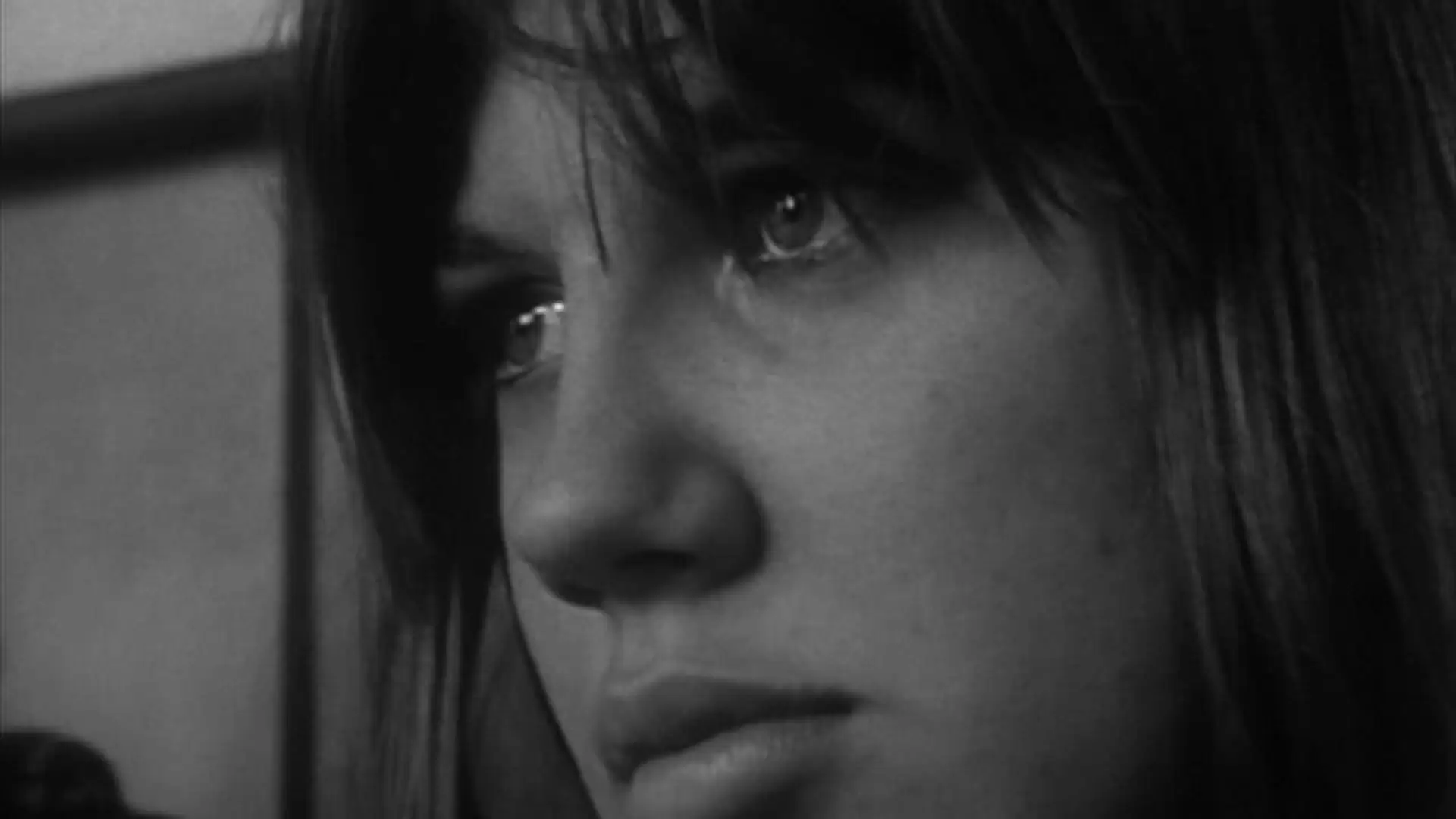 دانلود مستند Warrendale 1967