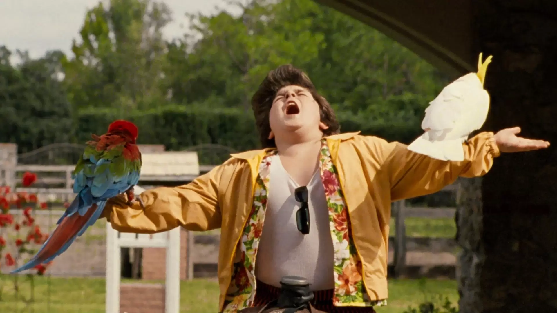 دانلود فیلم Ace Ventura: Pet Detective Jr. 2009 (ایس ونچورا: کارآگاه حیوانات کوچک) با زیرنویس فارسی