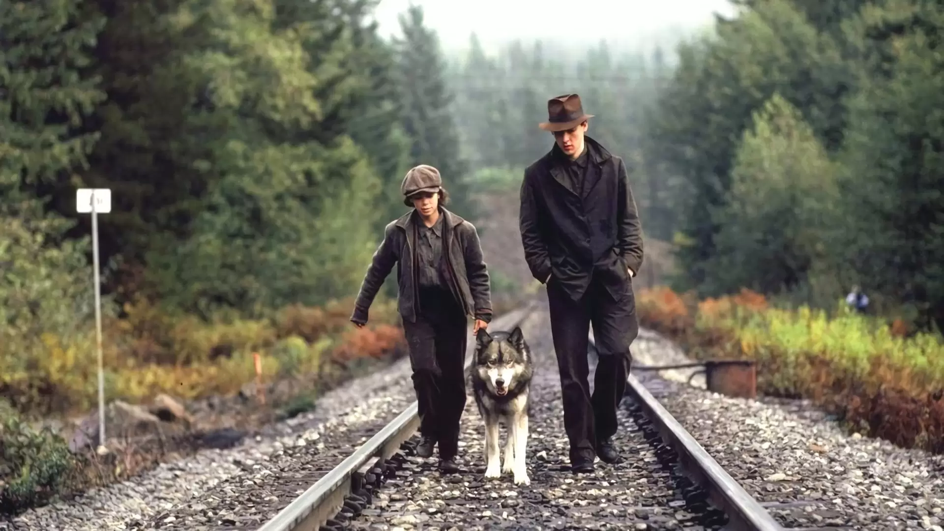 دانلود فیلم The Journey of Natty Gann 1985 (سفر ناتی گن) با زیرنویس فارسی