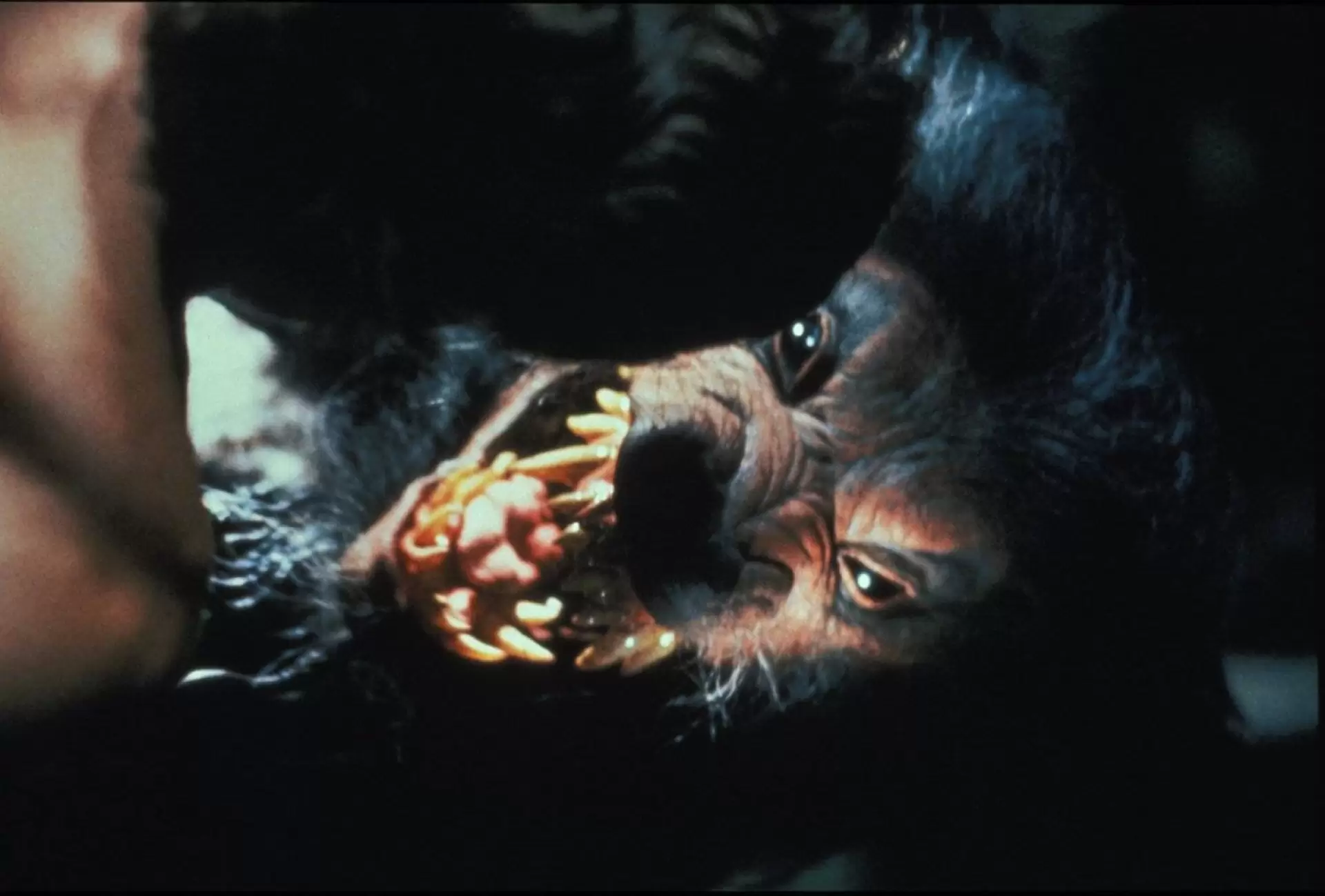 دانلود فیلم Howling V: The Rebirth 1989