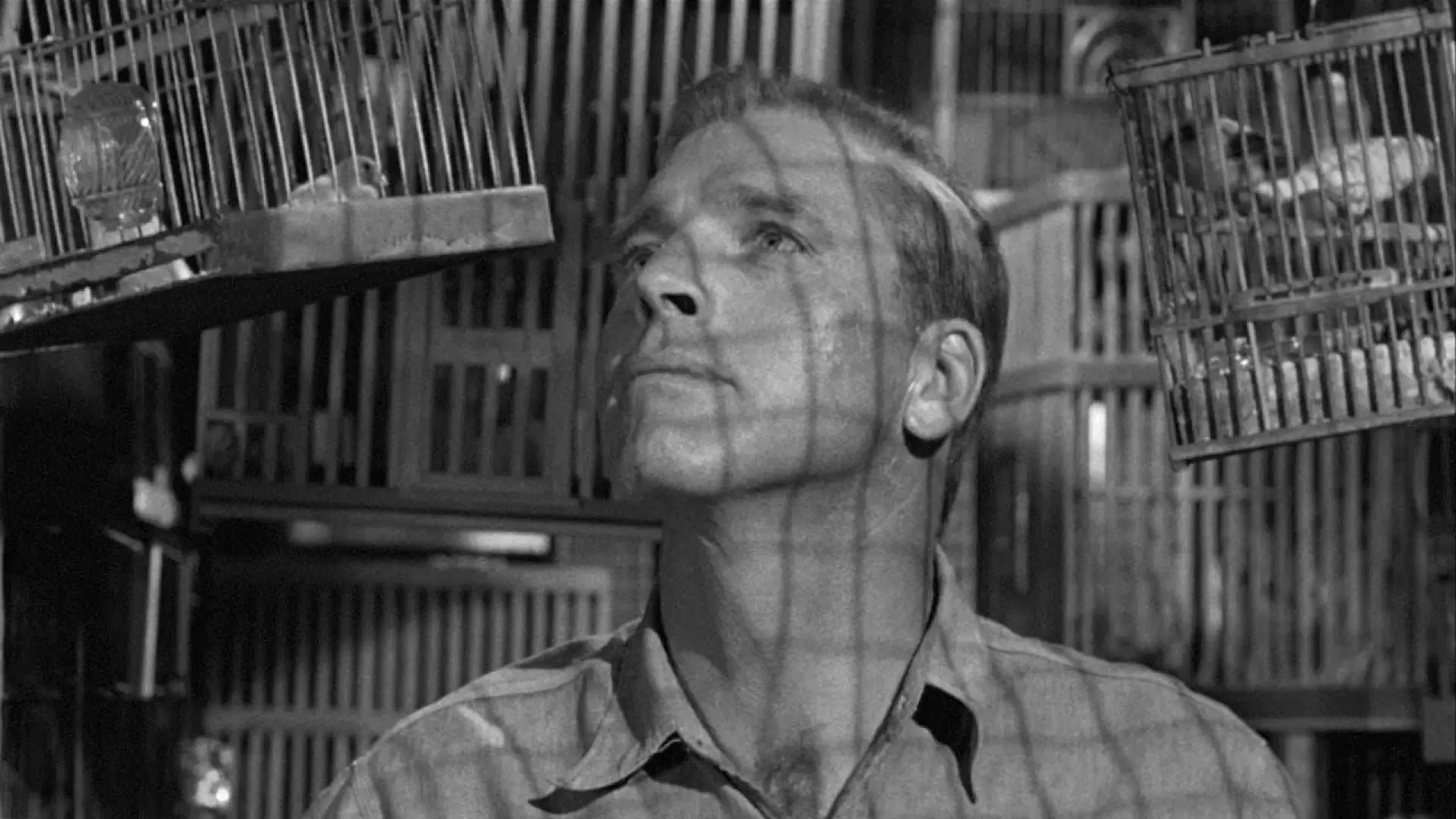 دانلود فیلم Birdman of Alcatraz 1962 (پرنده باز آلکاتراز) با زیرنویس فارسی و تماشای آنلاین