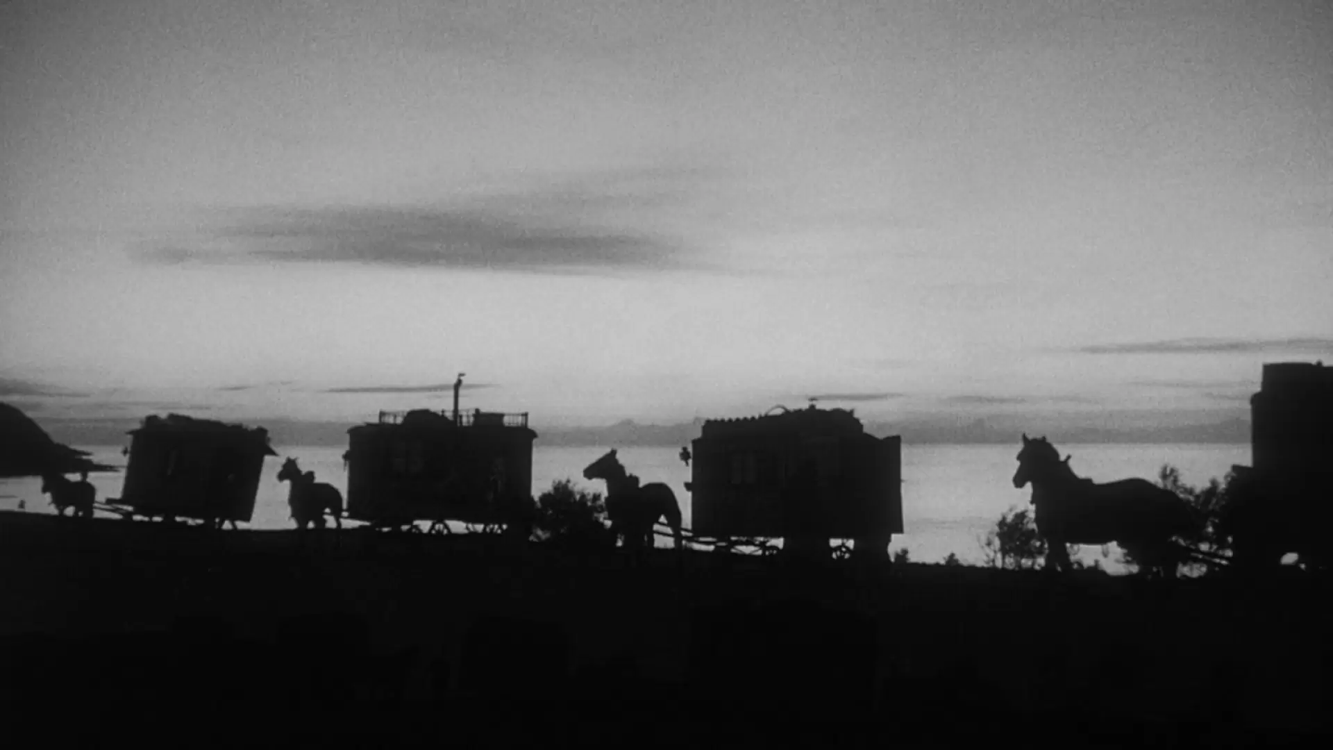 دانلود فیلم Sawdust and Tinsel 1953