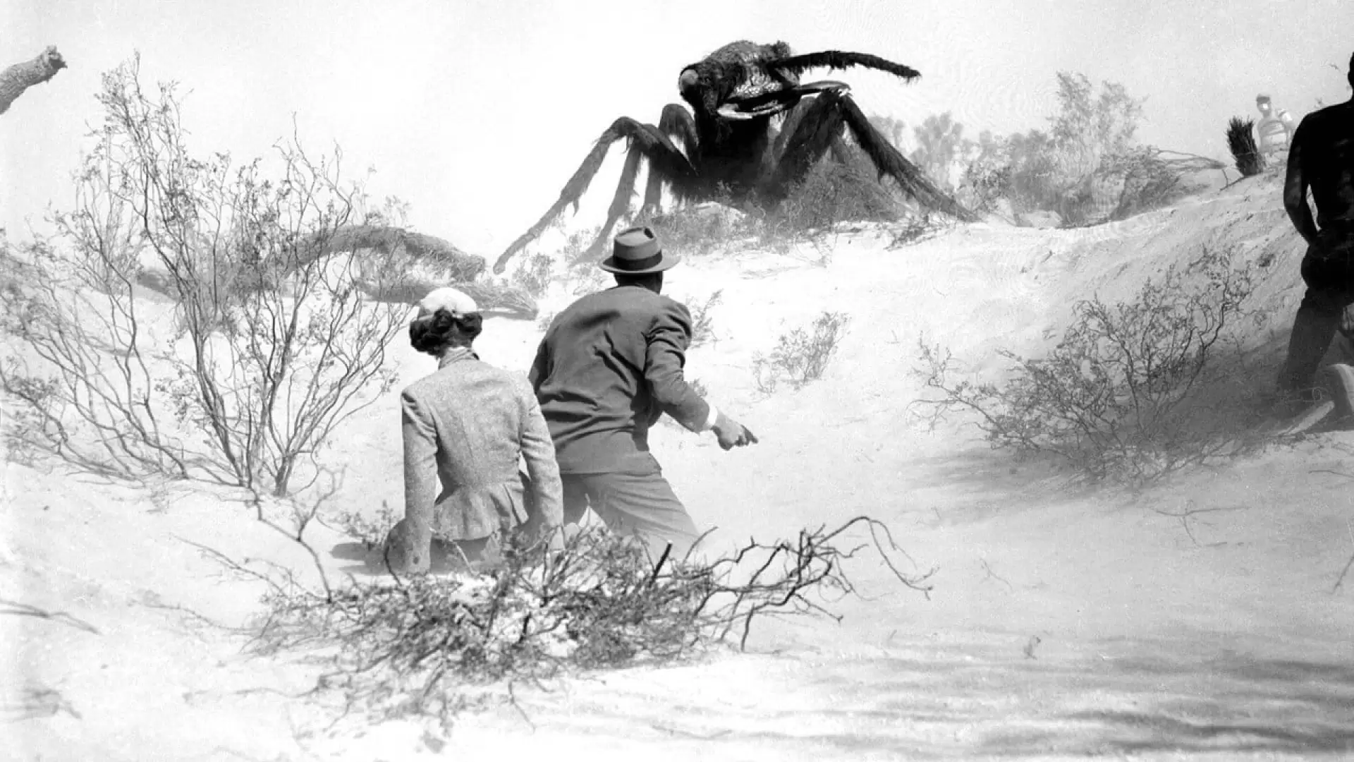 دانلود فیلم Them! 1954