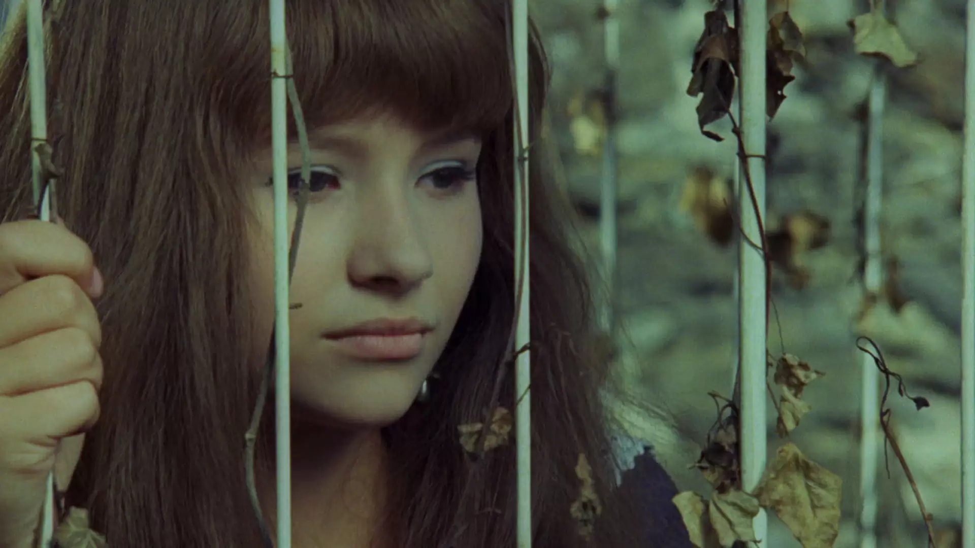 دانلود فیلم Valerie and Her Week of Wonders 1970 با زیرنویس فارسی و تماشای آنلاین