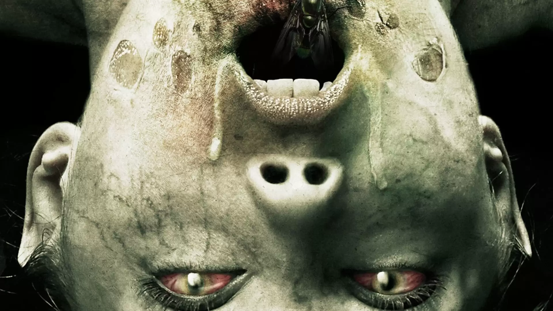 دانلود فیلم The Exorcism of Molly Hartley 2015 با زیرنویس فارسی