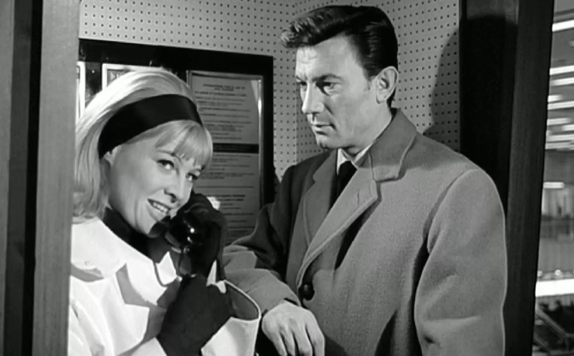 دانلود فیلم Darling 1965 با زیرنویس فارسی