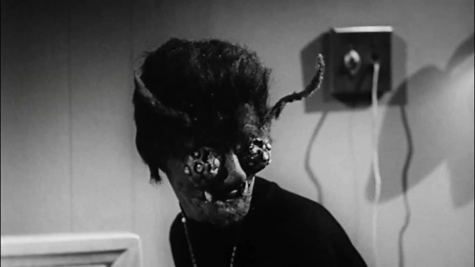 دانلود فیلم The Wasp Woman 1959 (زن زنبوری)