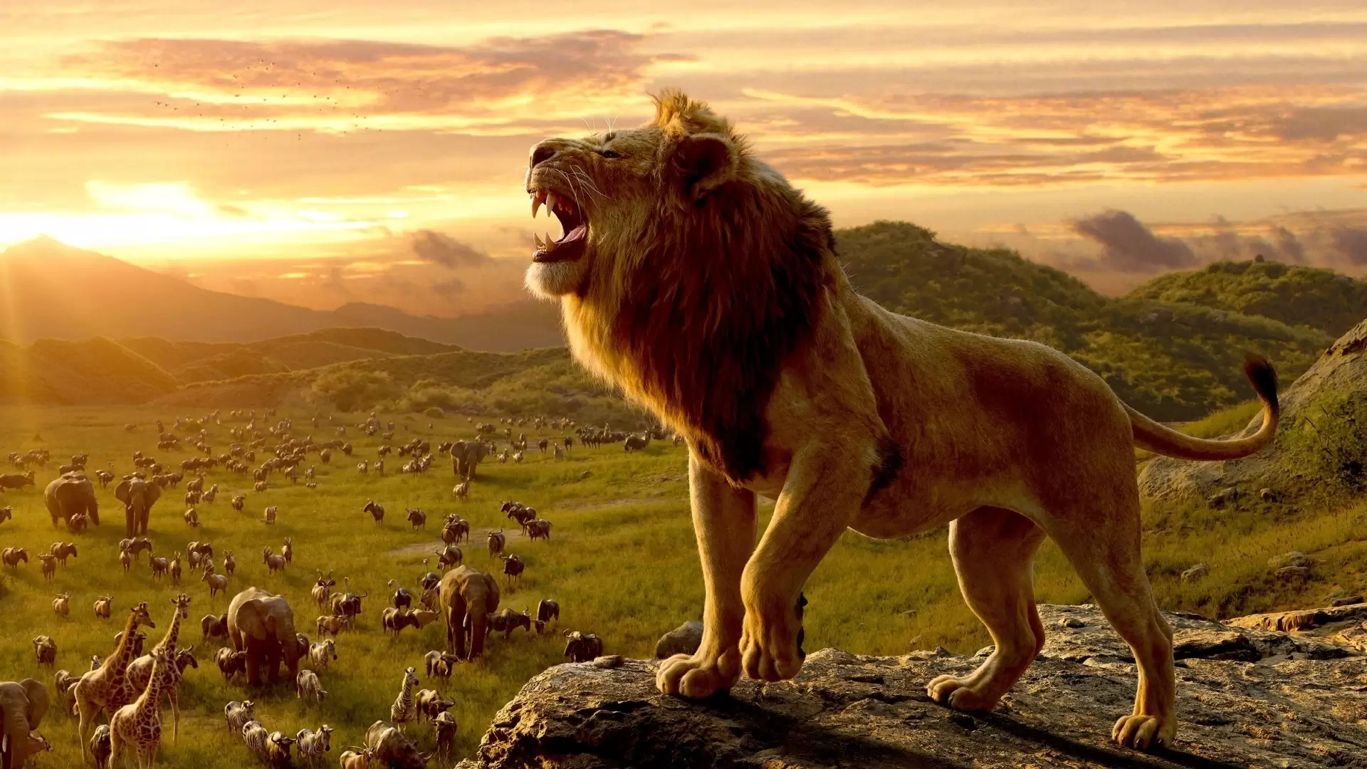 دانلود انیمیشن The Lion King 2019 (شیر شاه) با زیرنویس فارسی و تماشای آنلاین