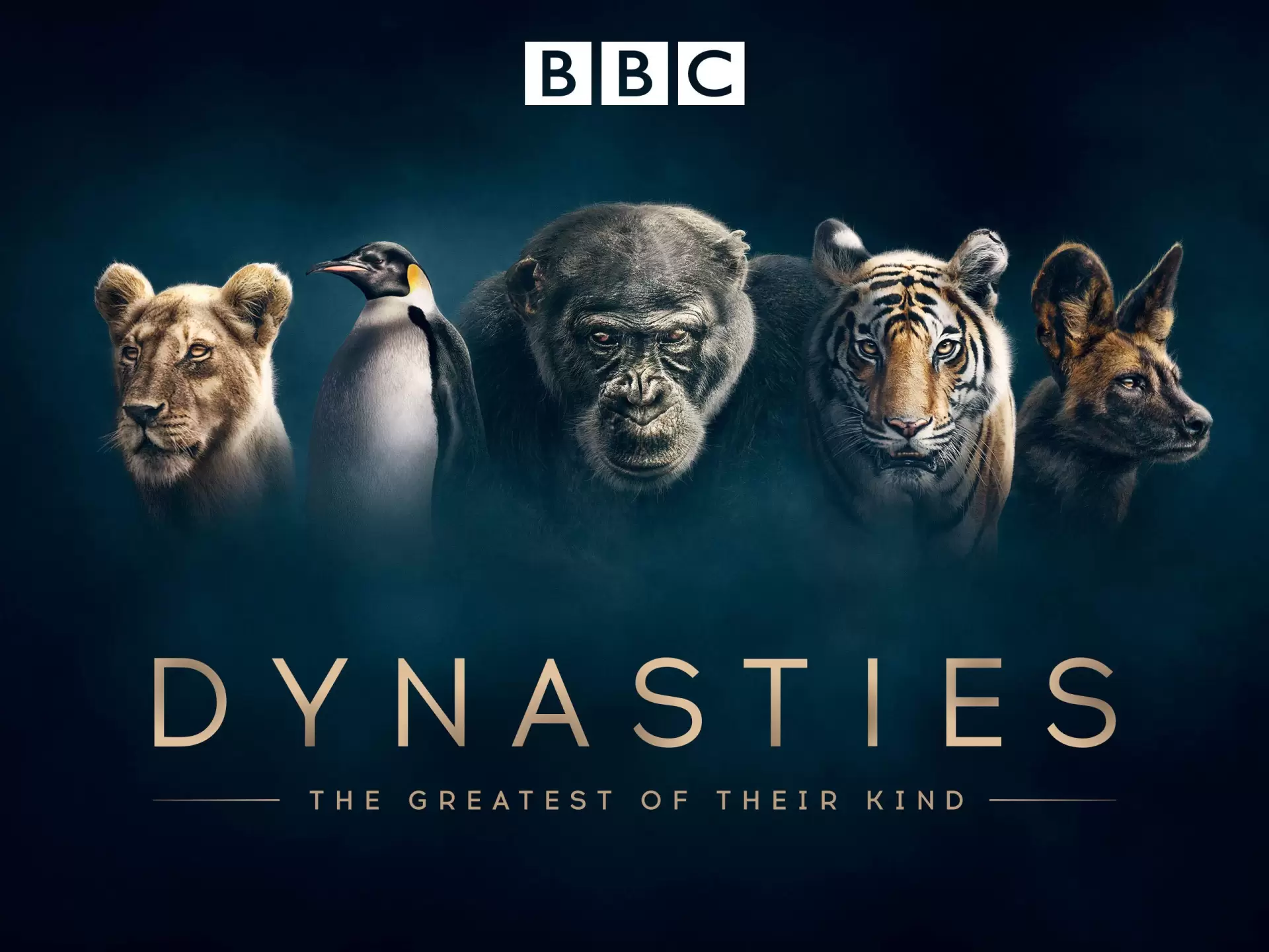 دانلود مستند Dynasties 2018 با زیرنویس فارسی و تماشای آنلاین