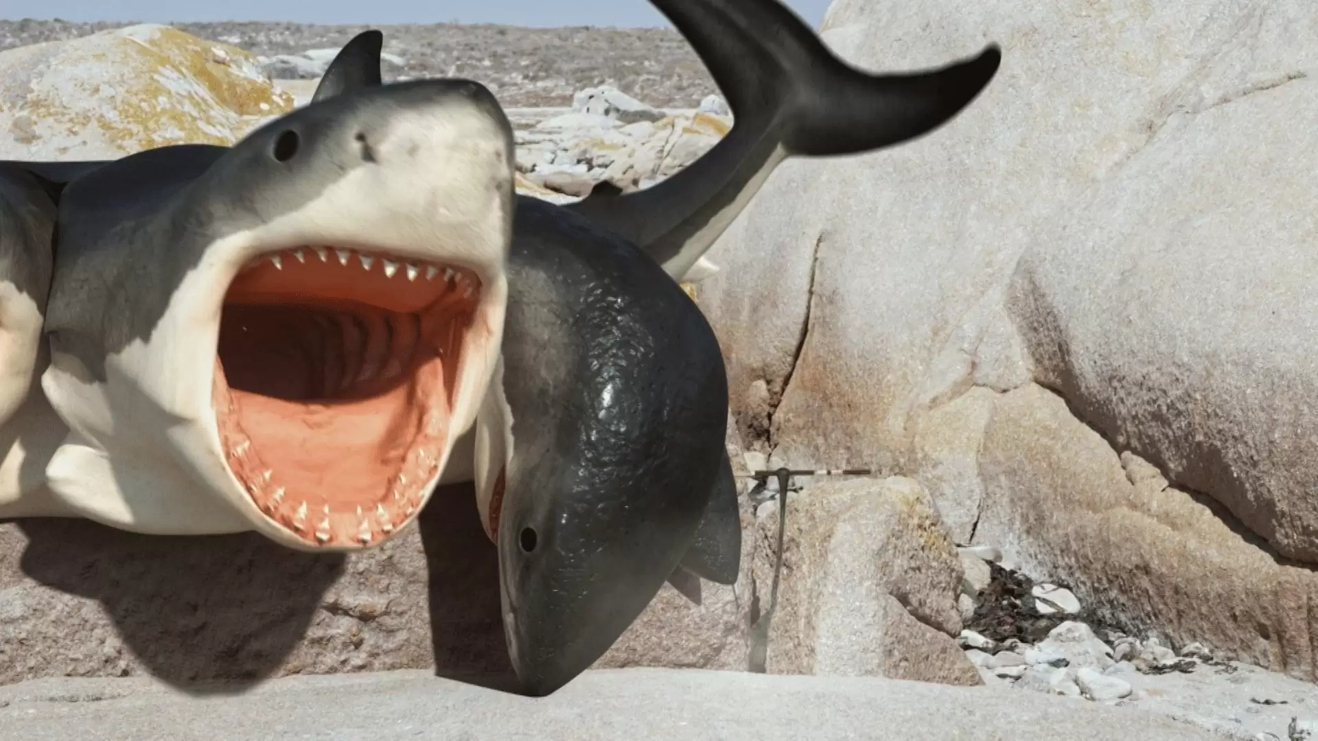 دانلود فیلم 6-Headed Shark Attack 2018 (حمله کوسه ۶ سر)