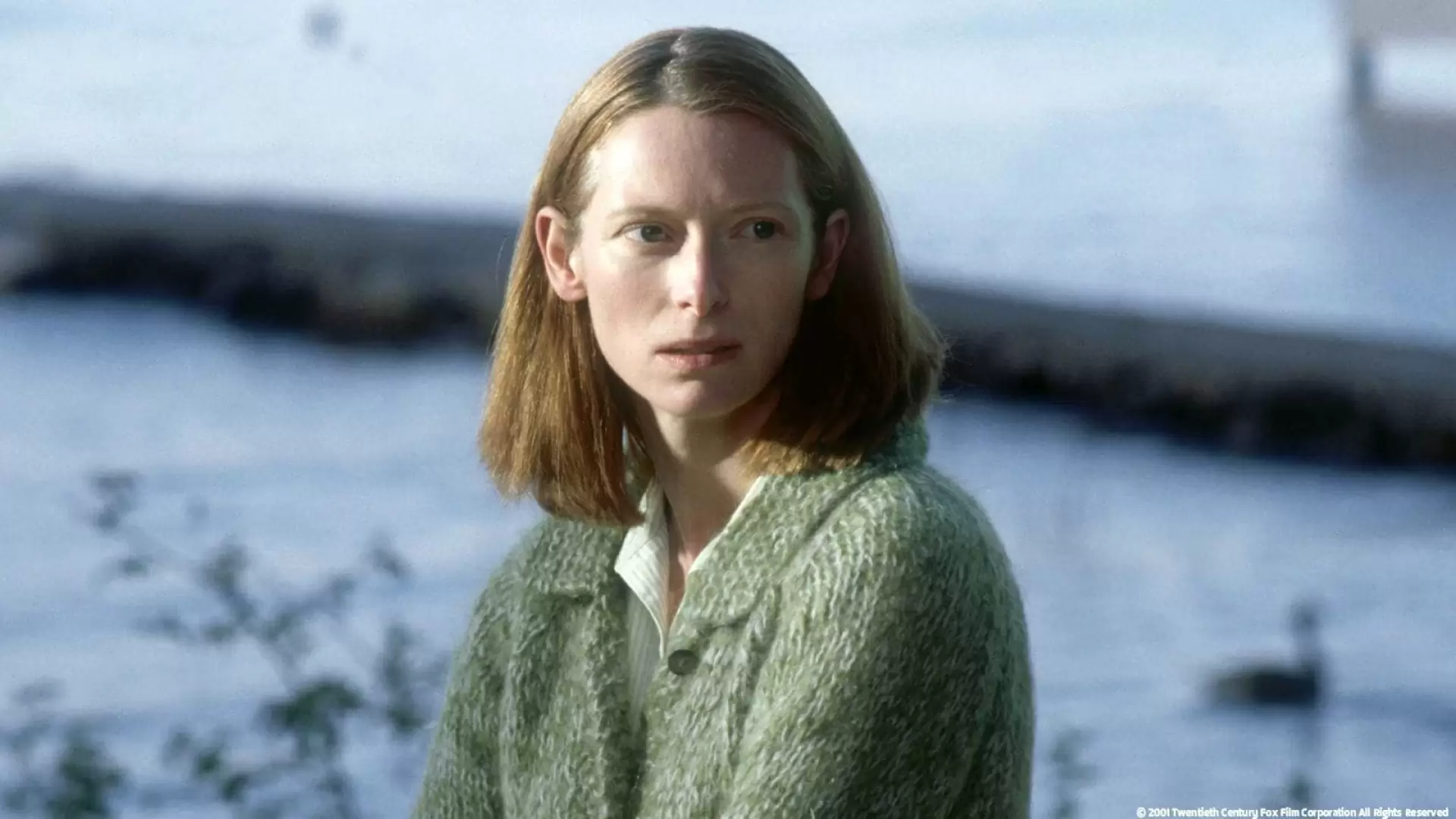 دانلود فیلم The Deep End 2001 با زیرنویس فارسی