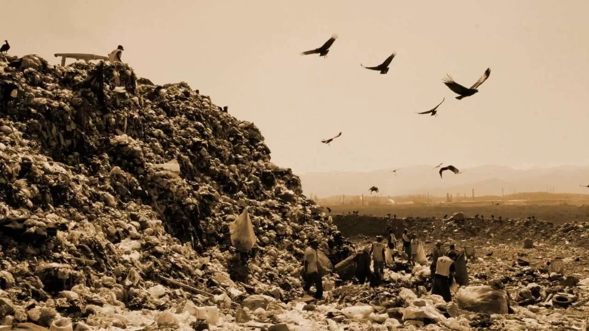 دانلود مستند Waste Land 2010