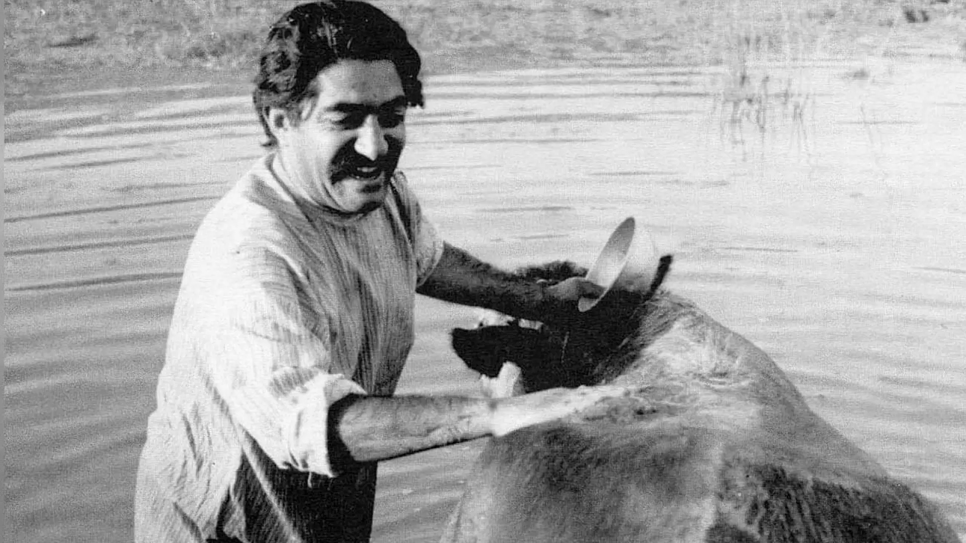 دانلود فیلم The Cow 1969 (گاو ۱۳۴۸) با زیرنویس فارسی و تماشای آنلاین