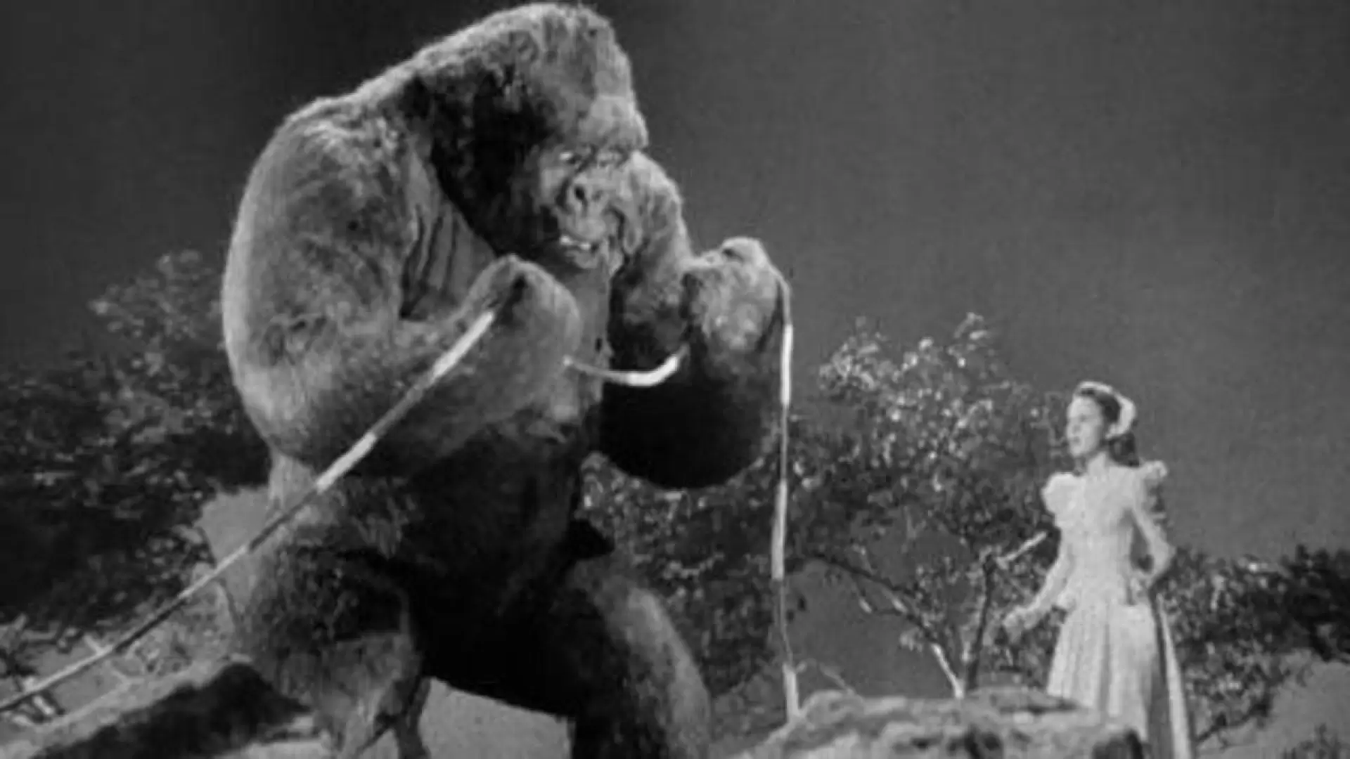 دانلود فیلم Mighty Joe Young 1949 (جو یانگ نیرومند)