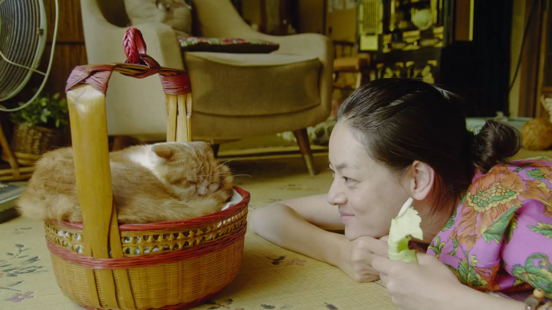 دانلود فیلم Rent-a-Cat 2012 (اجاره یک گربه)
