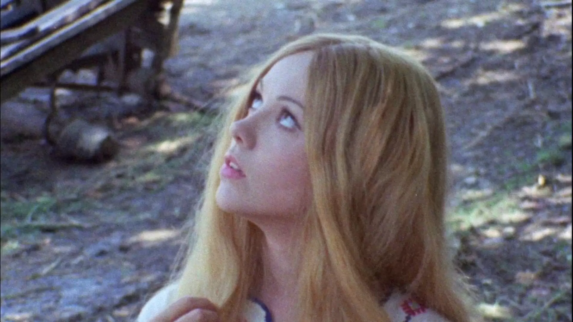دانلود فیلم The She-Butterfly 1973 با زیرنویس فارسی