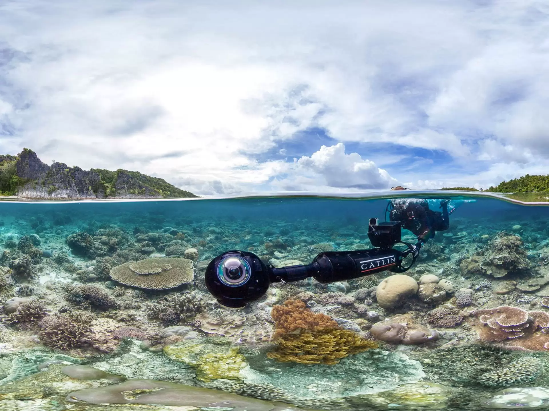 دانلود مستند Chasing Coral 2017