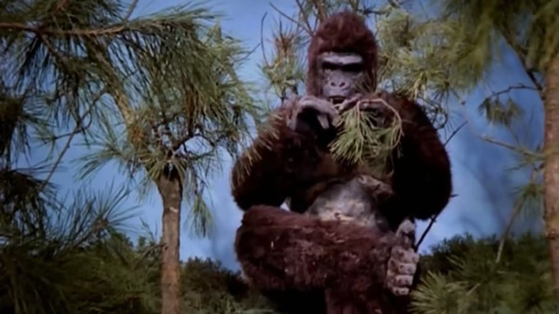 دانلود فیلم Ape 1976