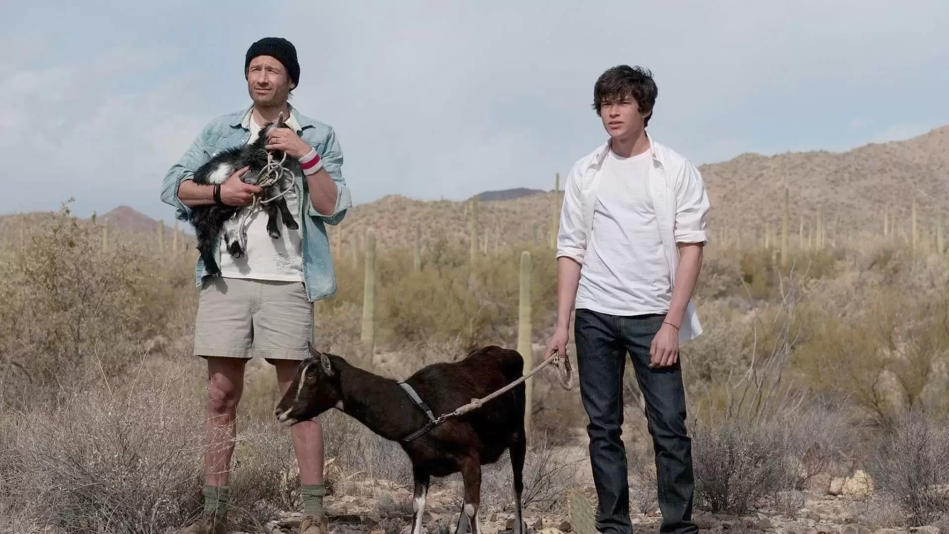 دانلود فیلم Goats 2012 با زیرنویس فارسی