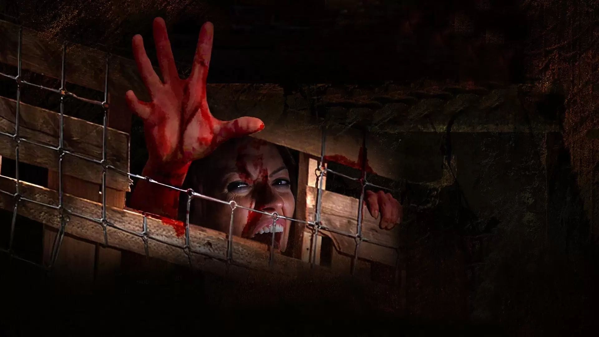 دانلود فیلم The Cellar Door 2007