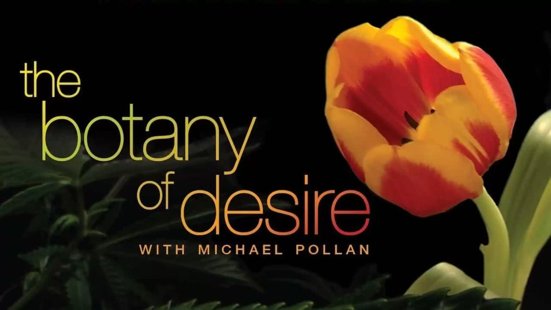 دانلود مستند The Botany of Desire 2009
