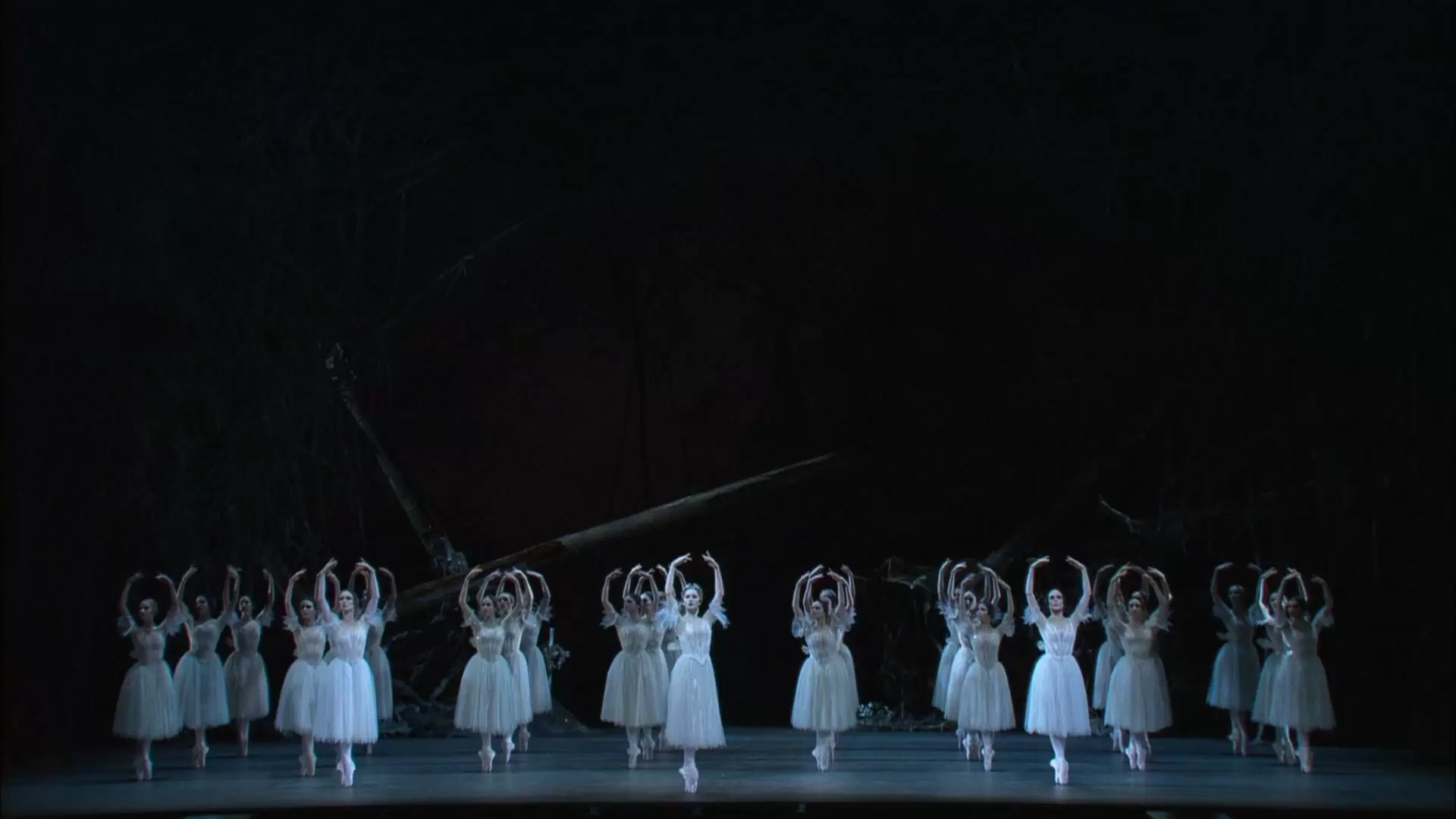 دانلود فیلم Giselle 2006
