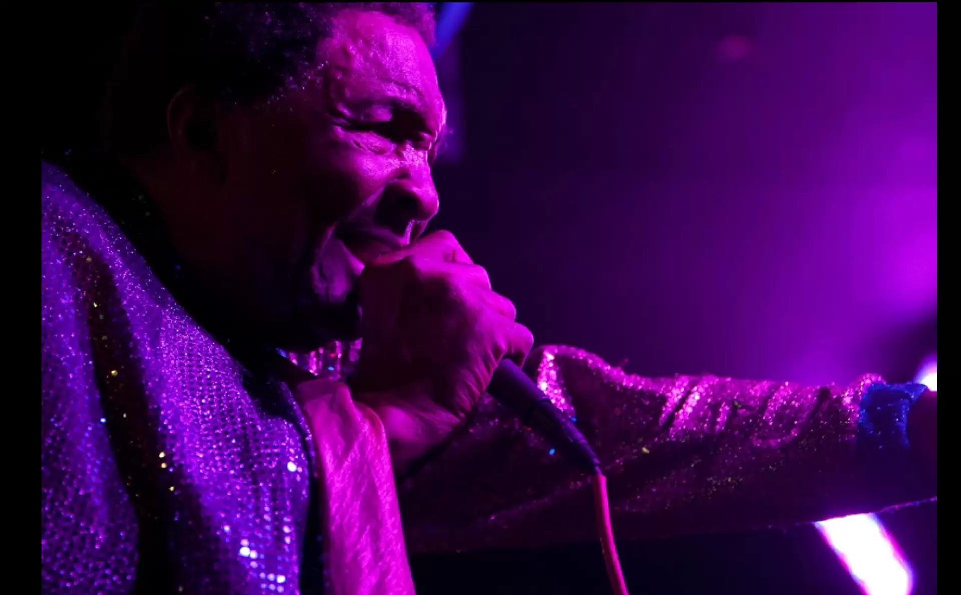 دانلود مستند The Weird World of Blowfly 2010