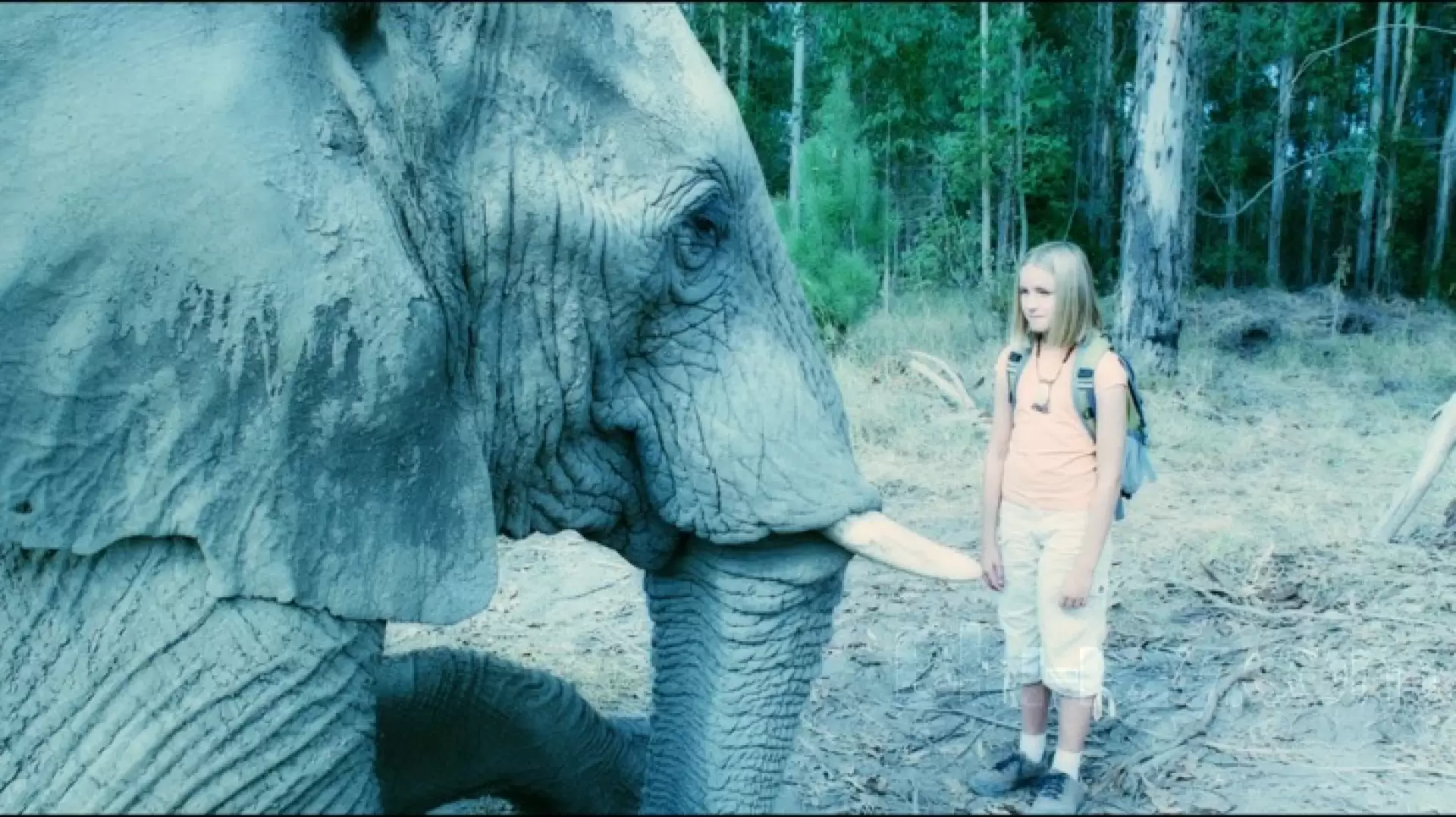 دانلود فیلم Magic Journey to Africa 2010