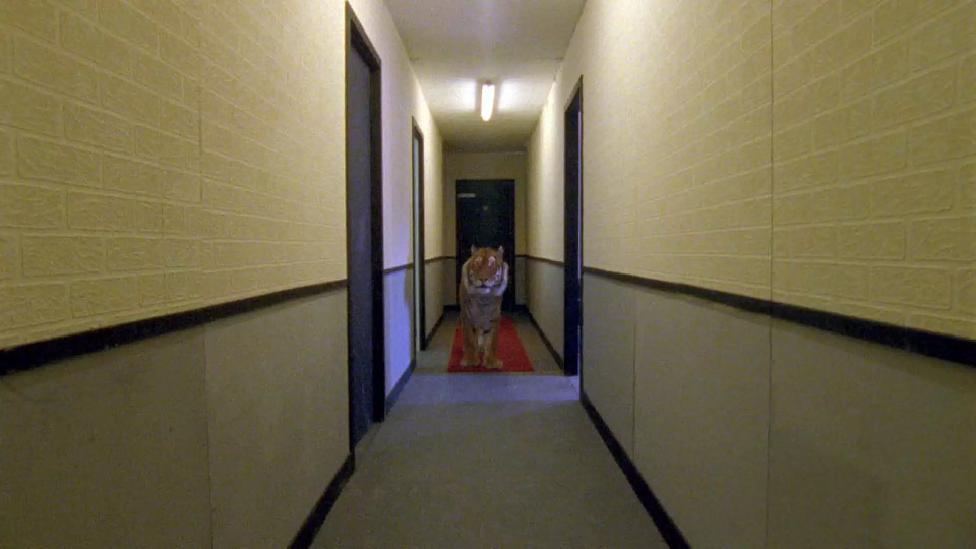 دانلود مستند Ming of Harlem: Twenty One Storeys in the Air 2014
