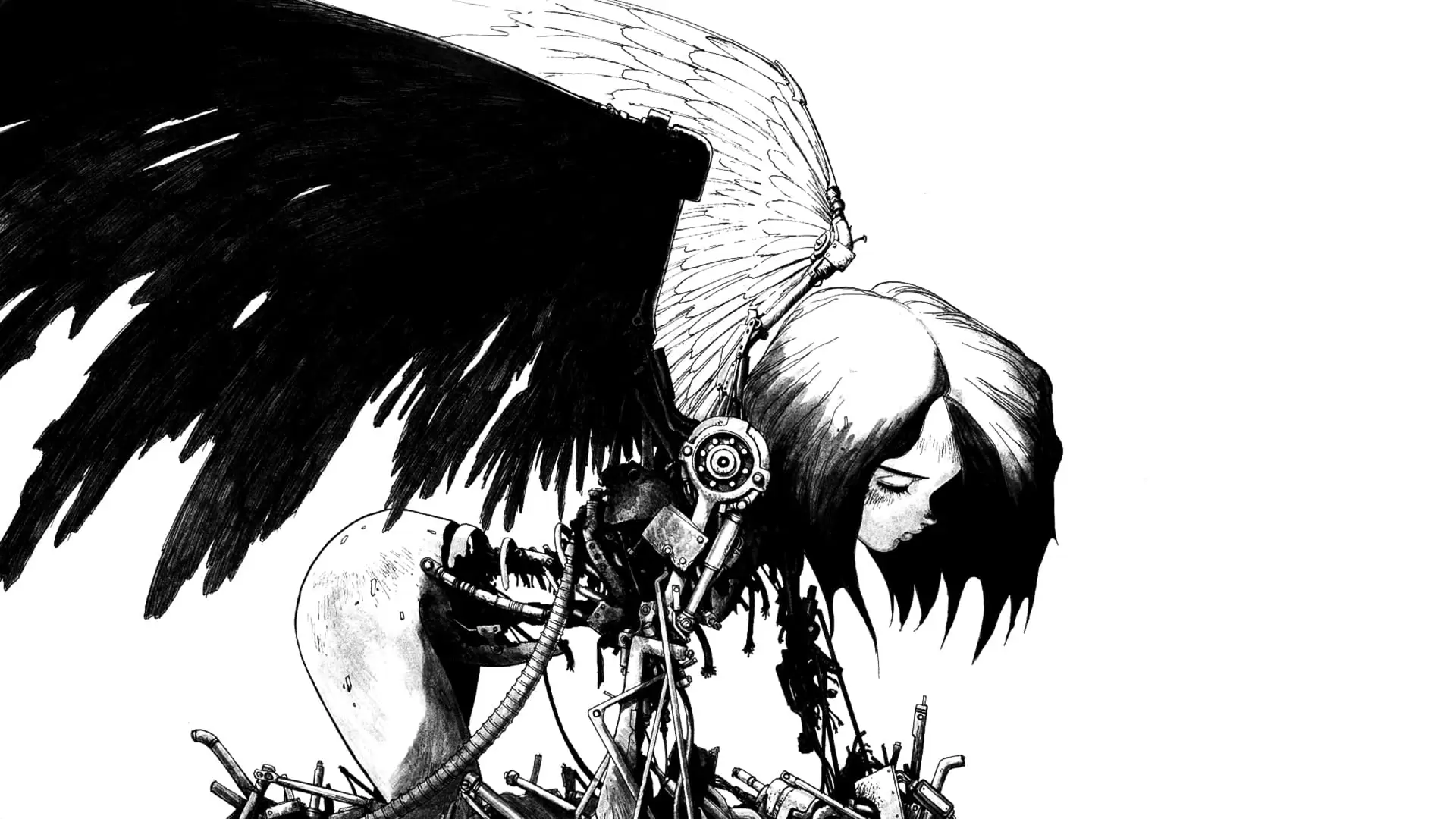 دانلود انیمه Gunnm (Battle Angel Alita) 1993 (آلیتا فرشته نبرد)