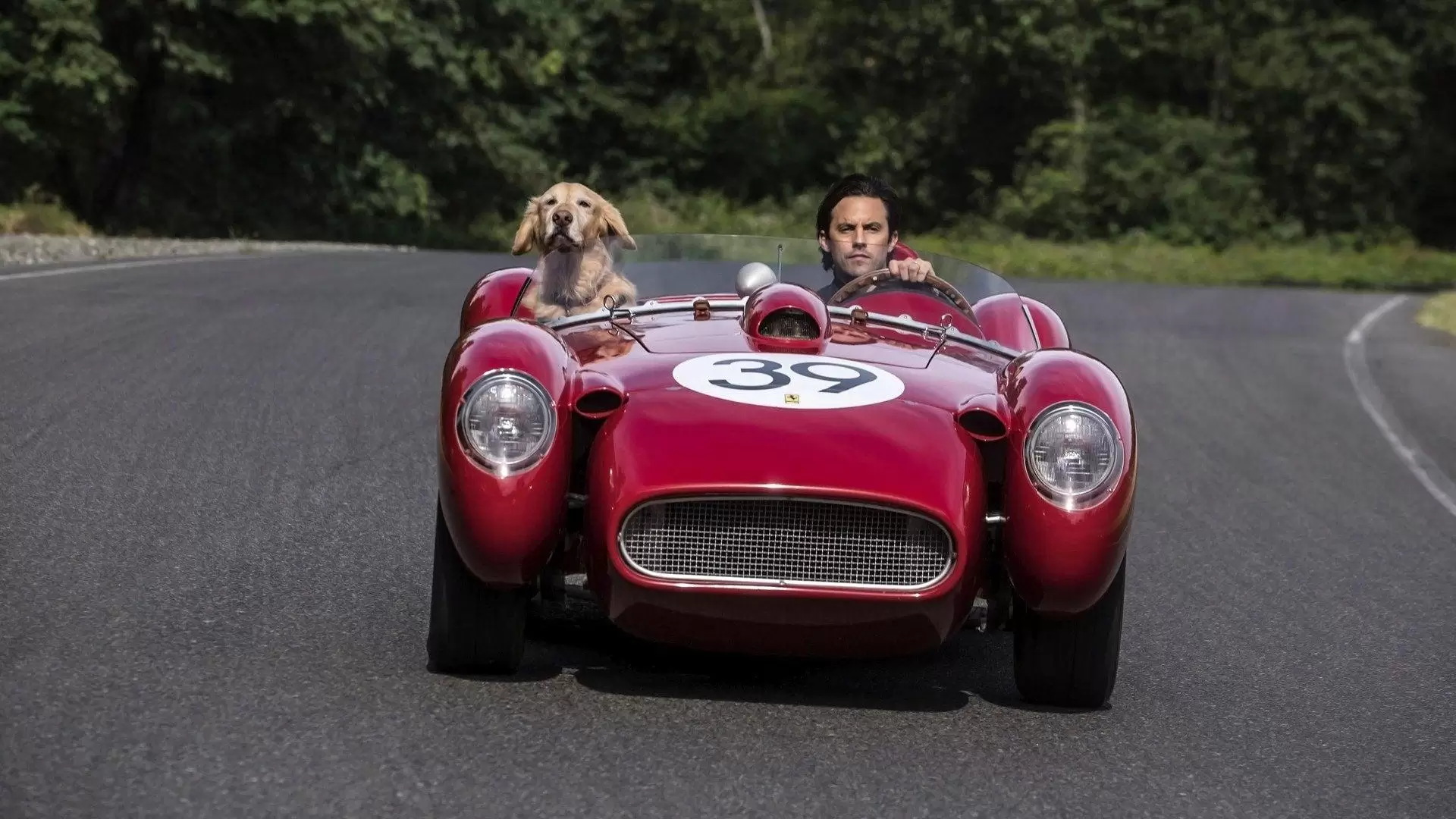 دانلود فیلم The Art of Racing in the Rain 2019 (هنر مسابقه دادن زیر باران) با زیرنویس فارسی و تماشای آنلاین